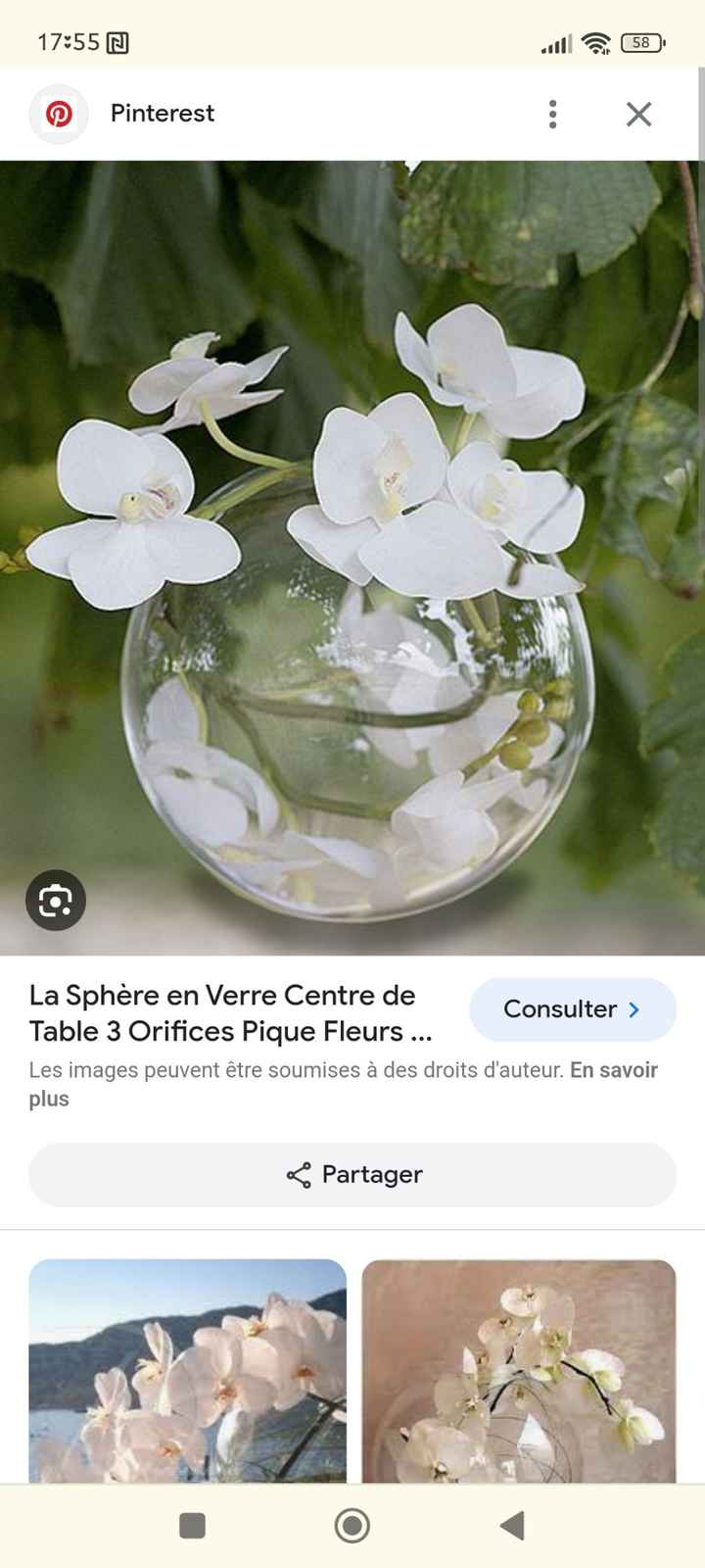 Décoration thème orchidées - 1