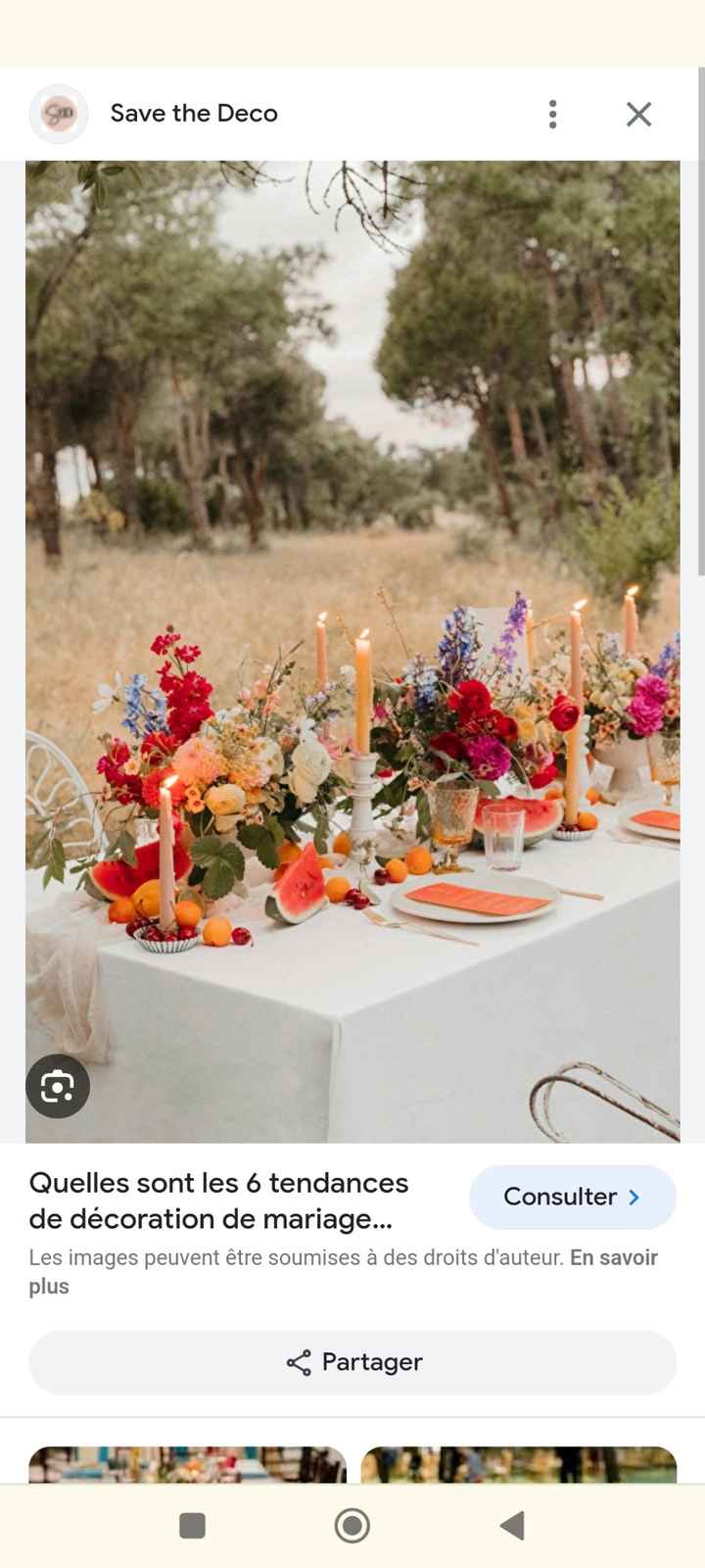 Mariage coloré ? - 3