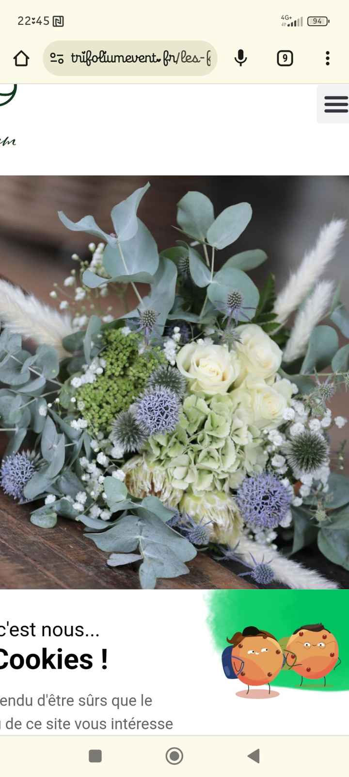 Remplacement des pivoines - 1