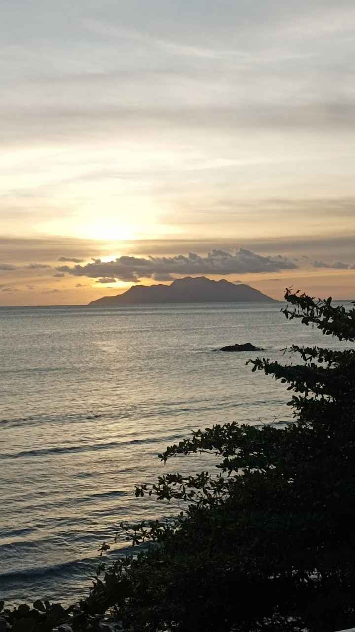 La demande en mariage ! - 2