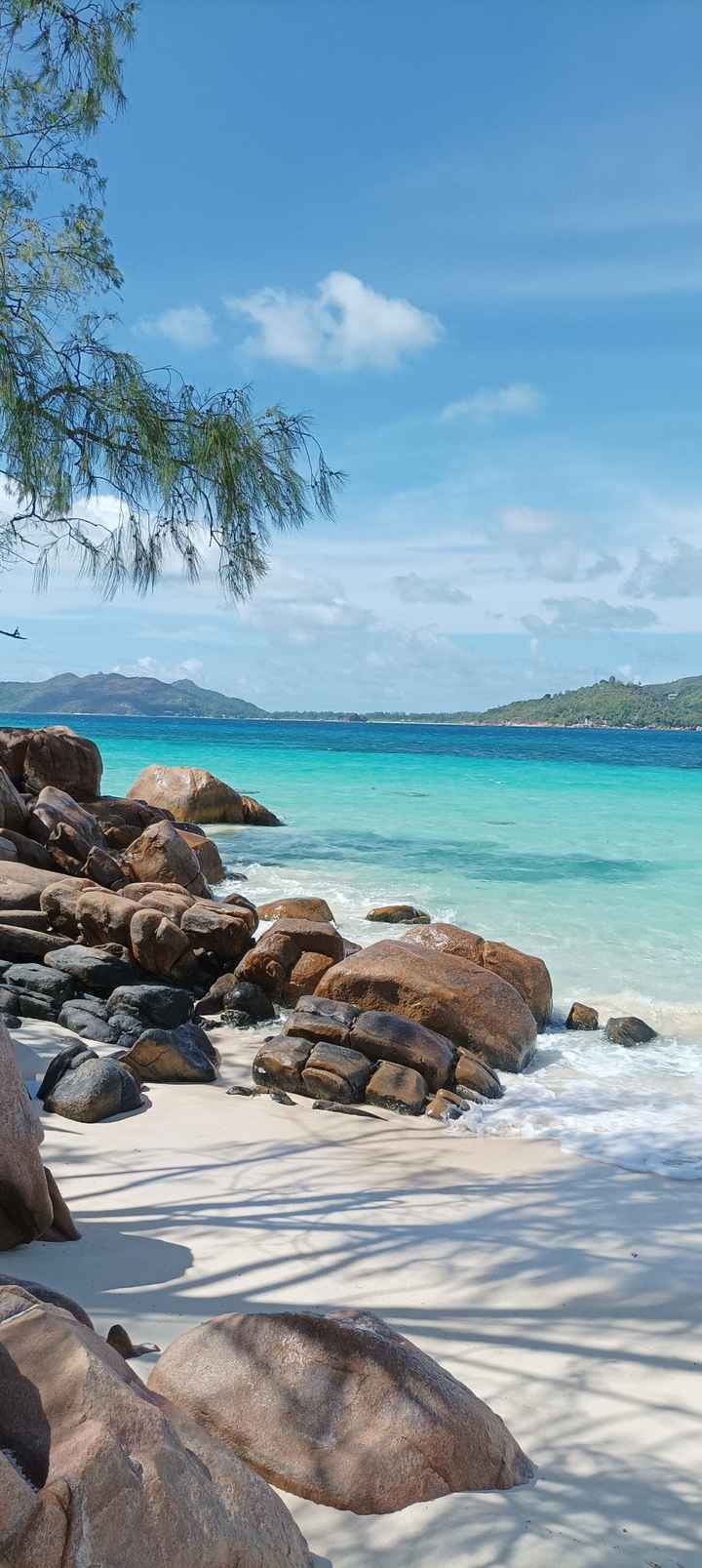 Mariage suite... - 3