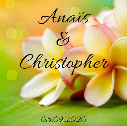 Notre logo 