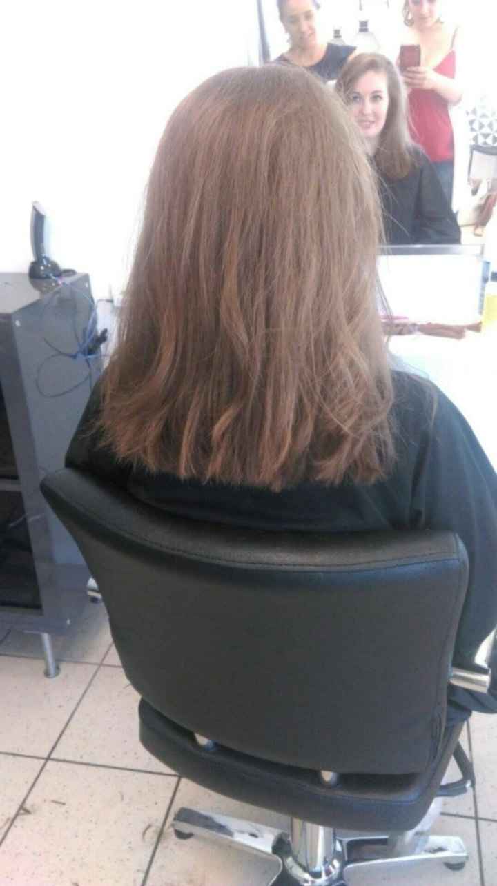 3- la coupe