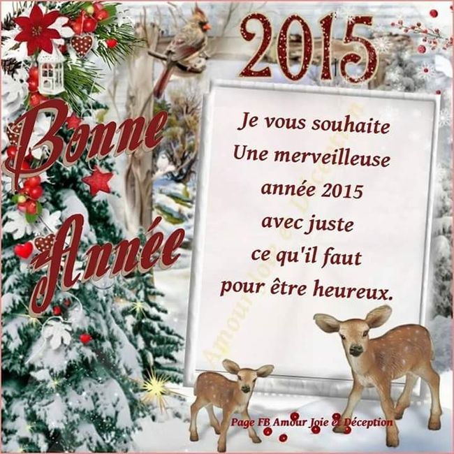Bonne année 2015 ! - 1