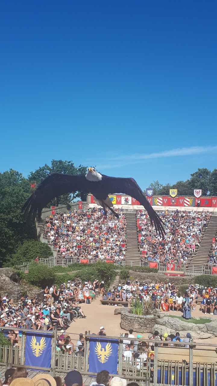 3. Tes préparatifs en 1 photo ! 🤳 - 1