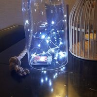 Interdiction d'utiliser des bougies.. - 1