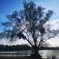 Love note - besoin de vous - 35 et 53 en retour :) - 1