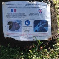 Conseil si vous partez en polynésie française - 1