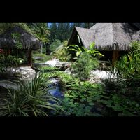 Conseil si vous partez en polynésie française - 1