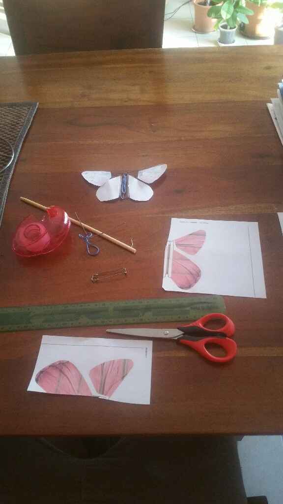  Papillon magique. - 3