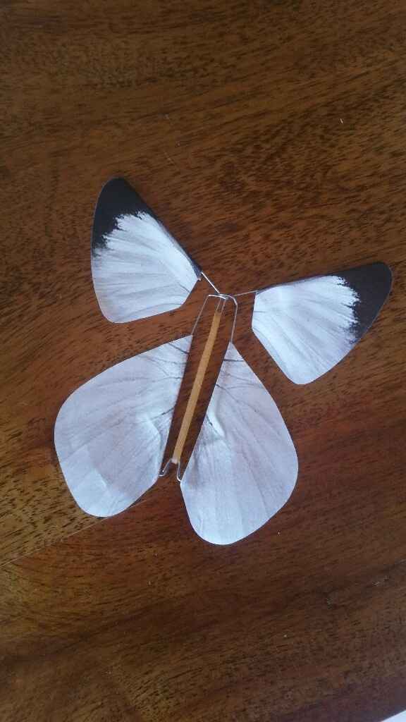  Faire part surprise - 1