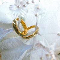 magnifiques alliances