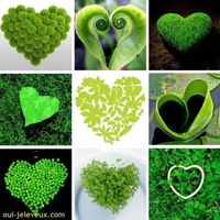 symbole de amour