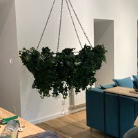 Système d accroche lustre floral - 1