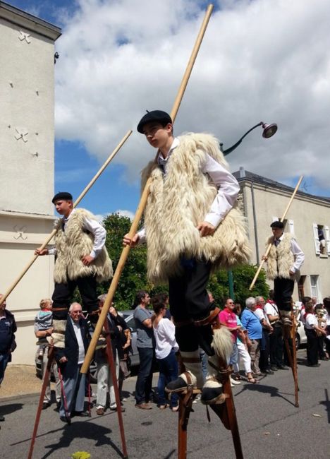 Un petit tour dans les Landes! - 7