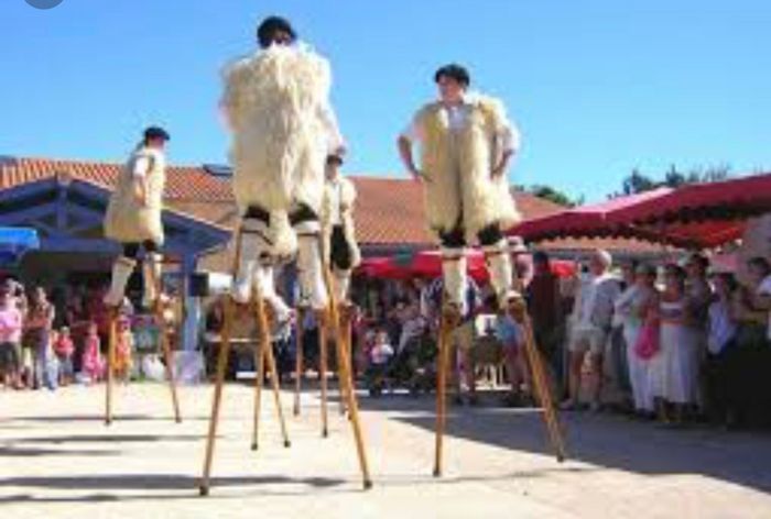 Un petit tour dans les Landes! - 8