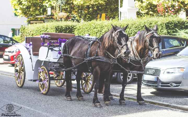 Calèche - 2
