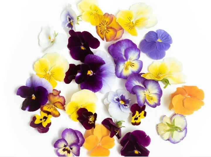 Fleurs comestibles 🌺🌼🌹 - 1