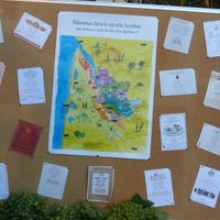 Plan de table - Carte + étiquette de vin 