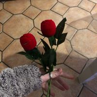 Vos prénoms et date sur votre porte alliance ? - 1