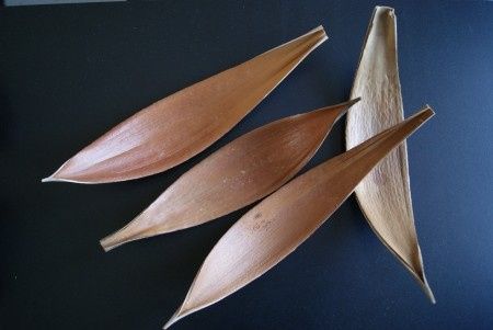 Déco de table 
