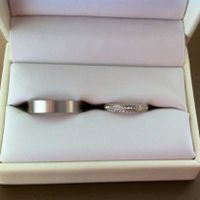 Elles sont enfin là!