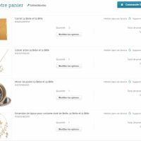 Commande Belle et la Bête