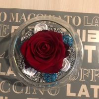 Nous nous marions le 25 Avril 2020 - Gironde - 2