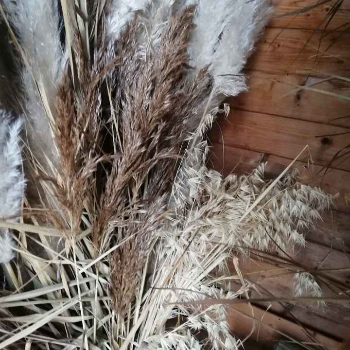 Fleuriste ou non - 2
