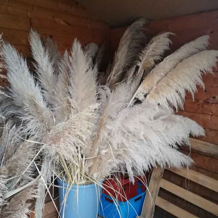 Fleuriste ou non - 3