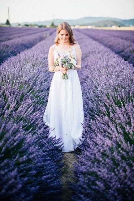 La couleur et la fleur. - 10