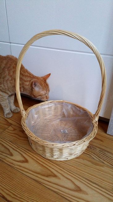 Brocante partie 2. - 1