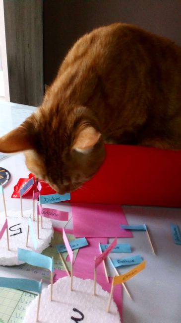 Organisation de mon plan de table.... - 3