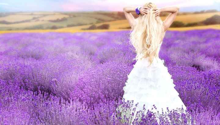La couleur et la fleur. - 17