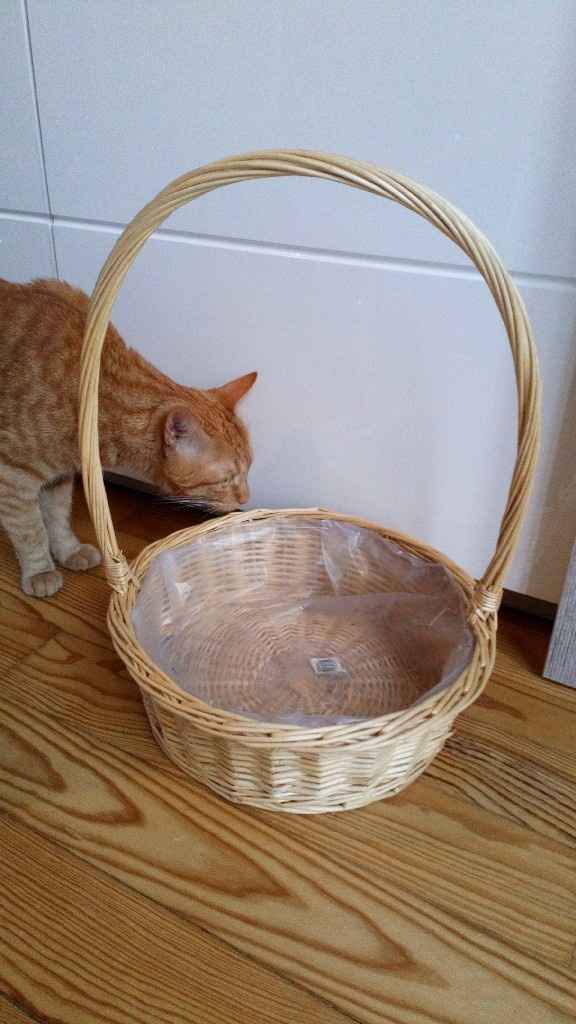 Brocante partie 2. - 1
