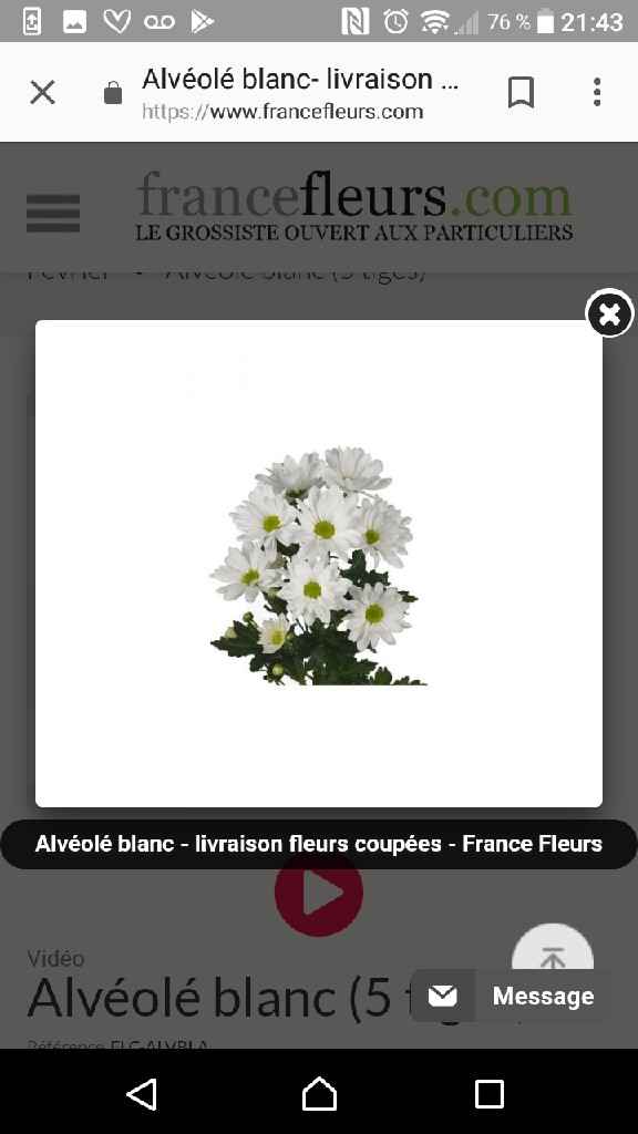 Bouquet de la mariée - 5
