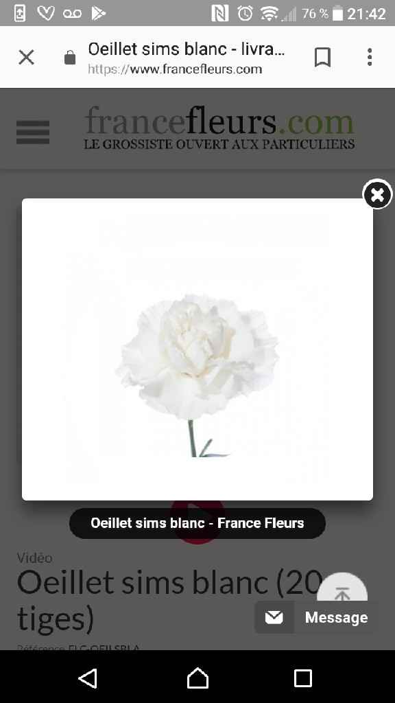 Bouquet de la mariée - 7