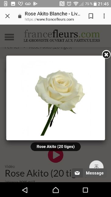 Bouquet de la mariée - 1