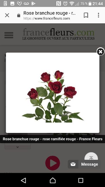 Bouquet de la mariée - 2