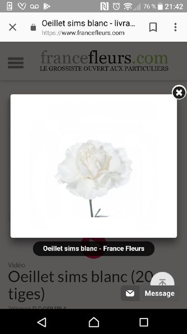 Bouquet de la mariée - 7