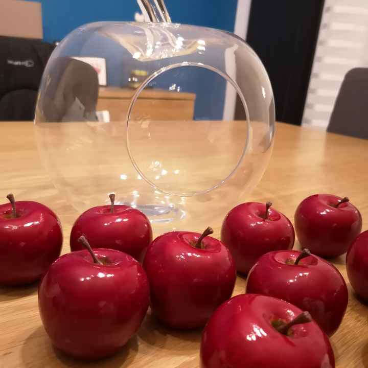 Nous nous marions le 24 Juillet 2021 - Indre-et-loire - 6