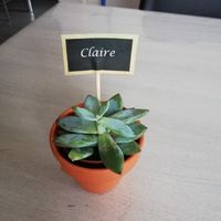 Cadeaux aux invités - 2