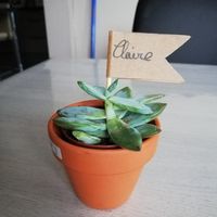 Cadeaux aux invités - 3