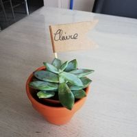 Cadeaux aux invités - 4