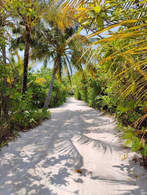 Lune de miel aux Maldives 3