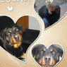 Ma Louna