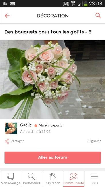 A vos bouquets mariées futures mariées! - 1