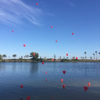 çA y est enfin madame ! - 6