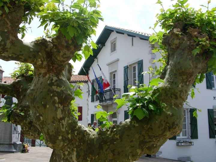 mairie 