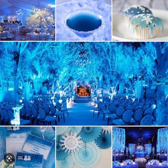 Un Mariage sur thème Hivernal 2